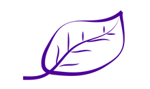 Purple all natural icon leaf vector illustration on transparent background