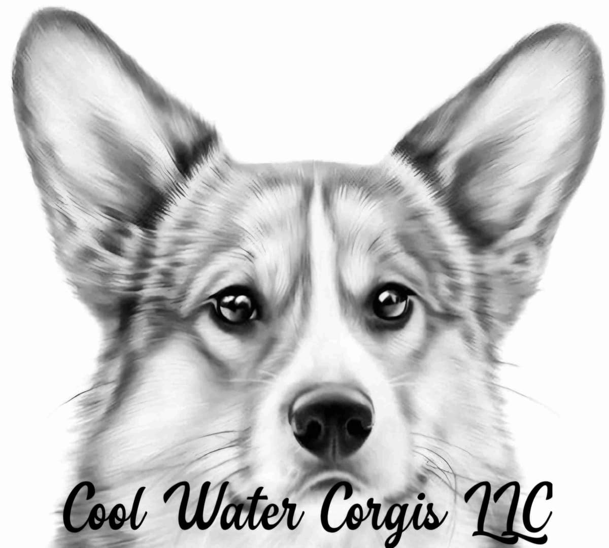 1 Precious girl ready for you! breeder image 1