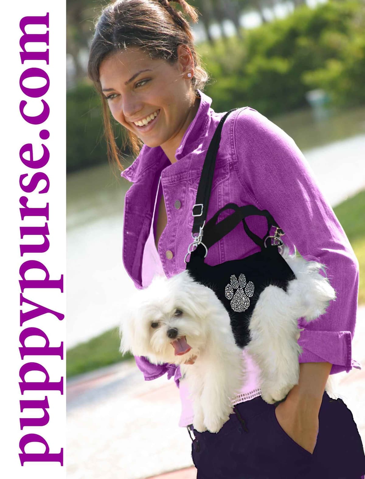 Maltese Forever Puppies! breeder image 3