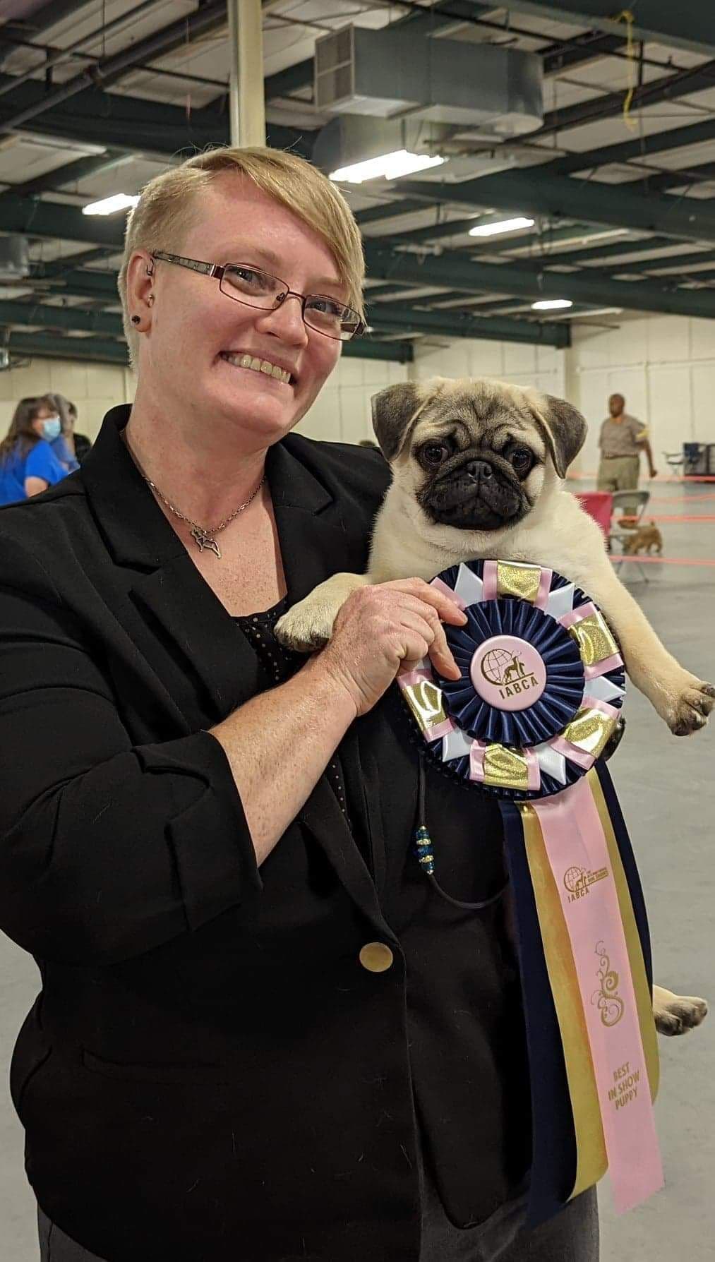 Male Pug Puppy breeder image 3