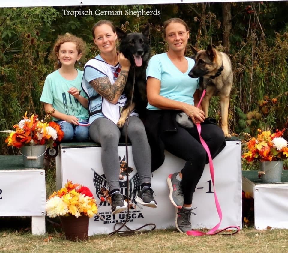 German Shepherd Dog Puppies breeder image 17
