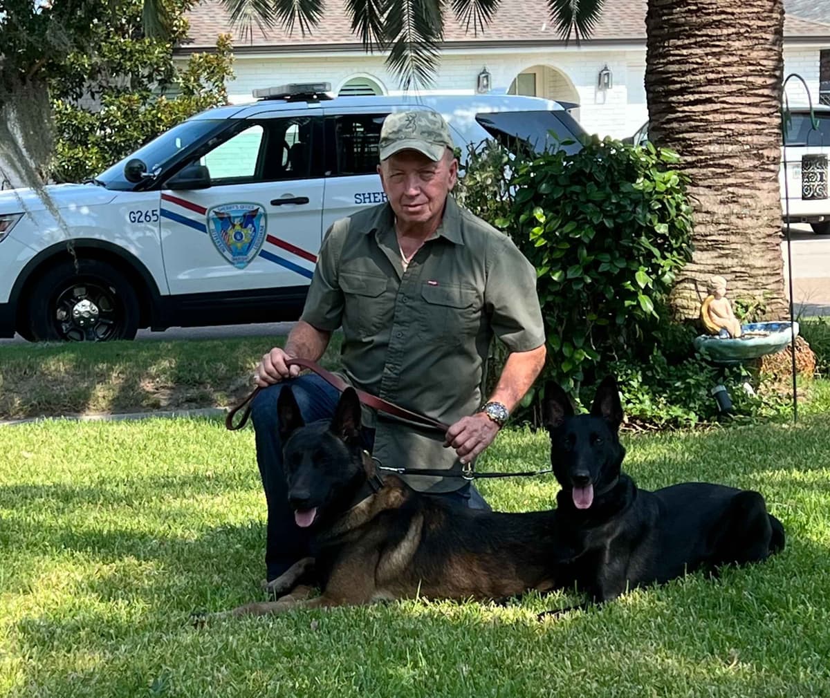 Belgian Malinois Puppies breeder image 17