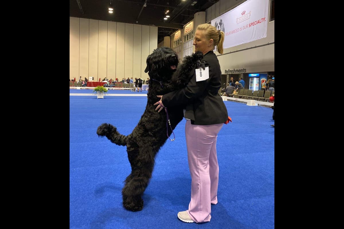 Black Powder Kennel - Female Available breeder image 2