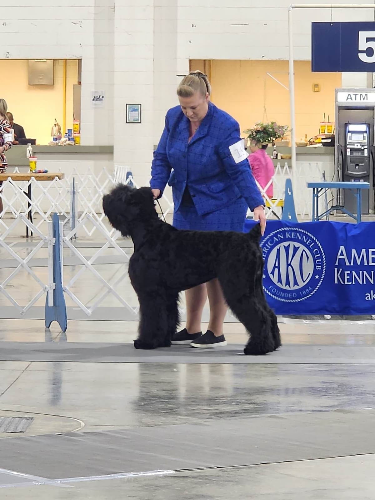Black Powder Kennel - Female Available breeder image 12