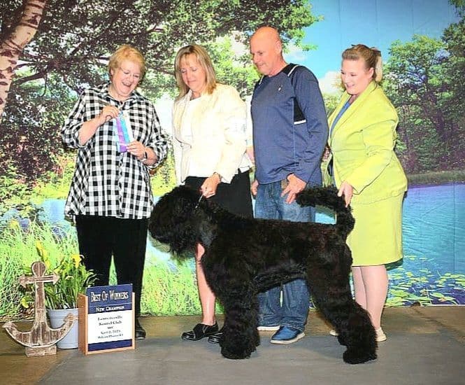 Black Powder Kennel - Female Available breeder image 15