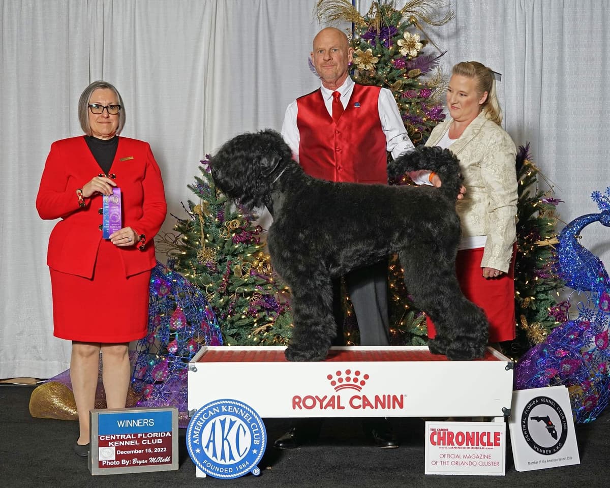 Black Powder Kennel - Female Available breeder image 16