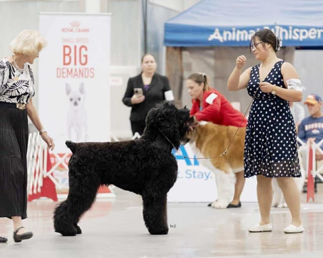 Black Powder Kennel - Female Available media 6
