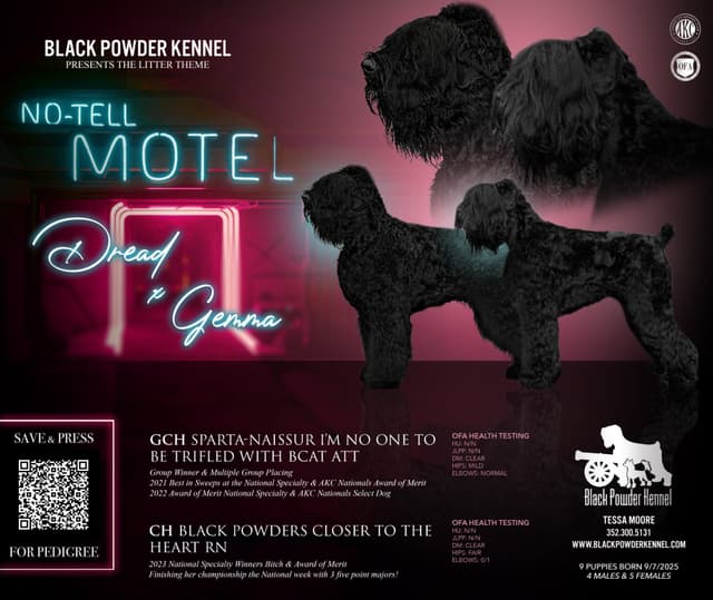 Black Powder Kennel - Female Available media 5