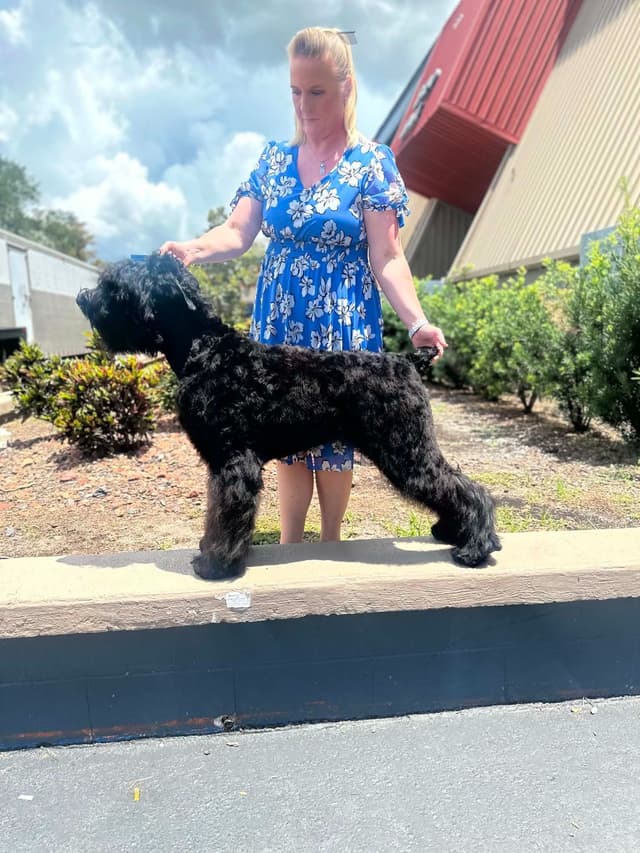 Black Powder Kennel - Female Available media 2