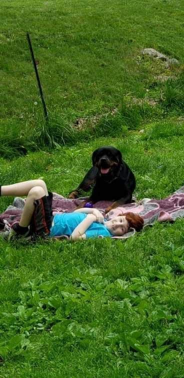 Rottweiler Puppies breeder image 5
