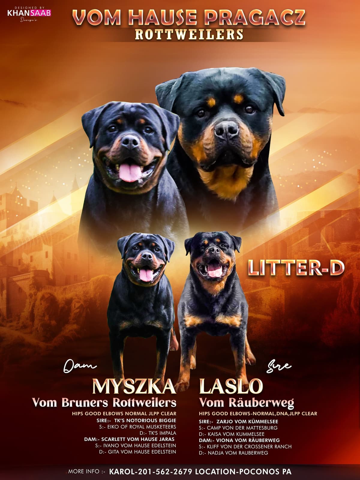 Rottweiler Puppies breeder image 22