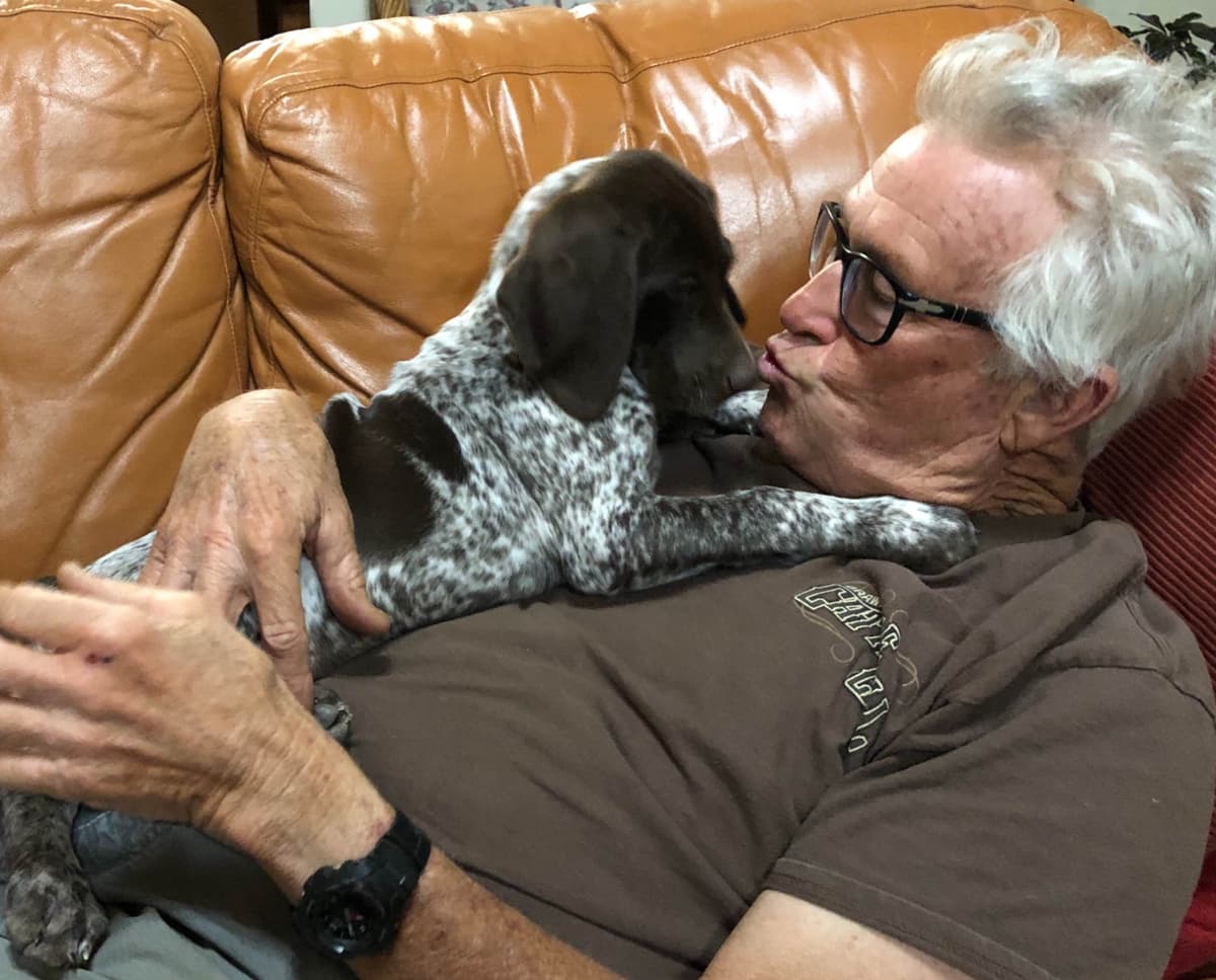 German Shorthaired Pointer Puppies breeder image 4