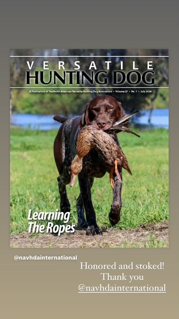 German Shorthaired Pointer Puppies breeder image 21