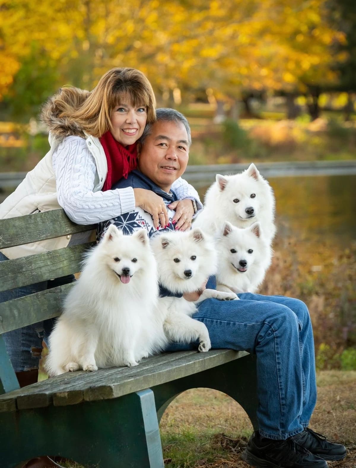 American Eskimo Dog Puppies breeder image 18