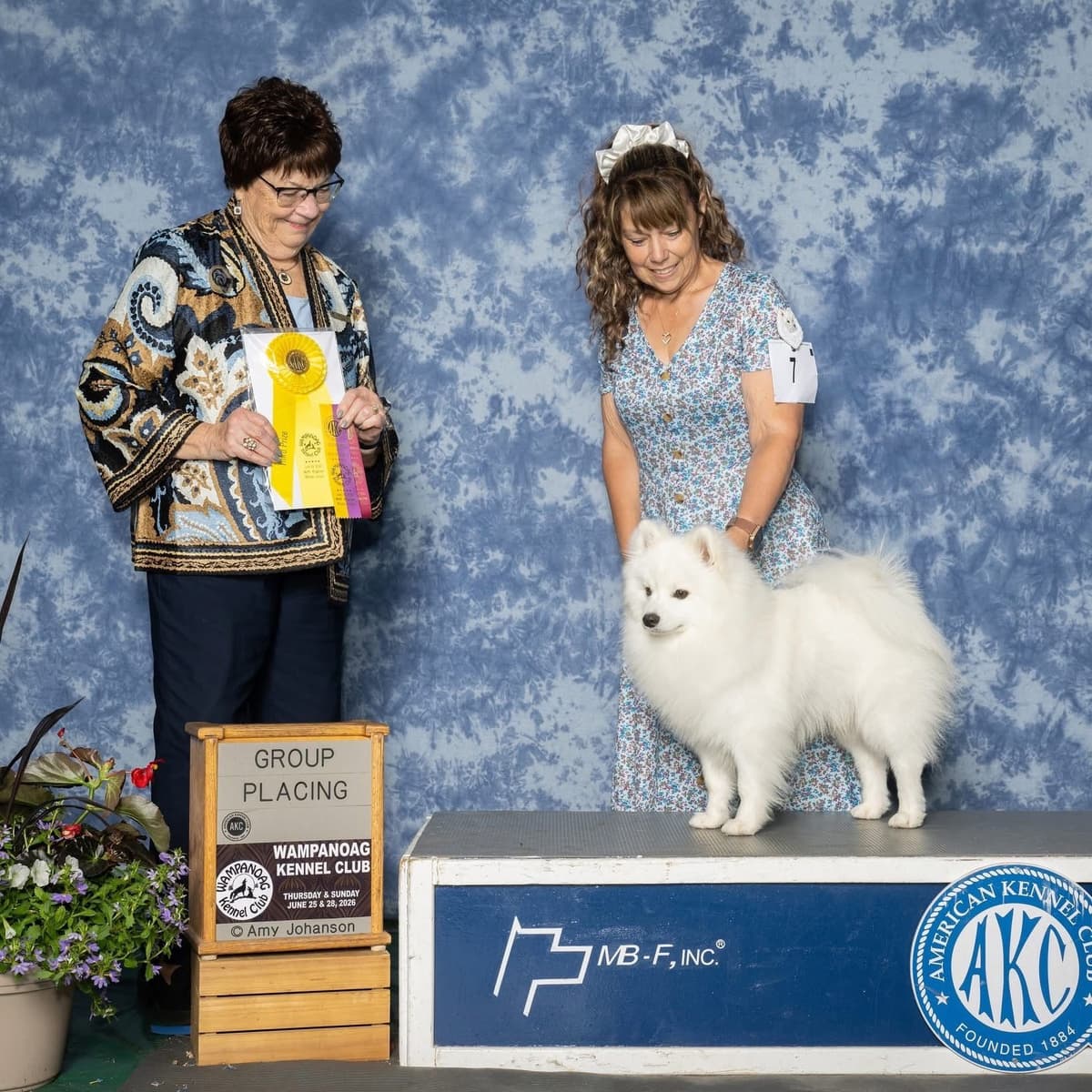 American Eskimo Dog Puppies breeder image 17