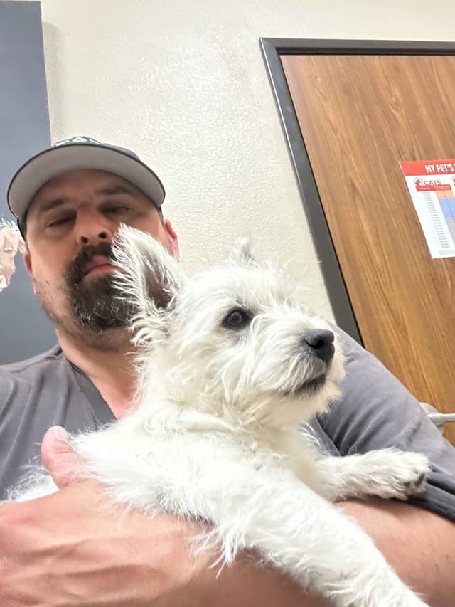 West Highland White Terrier Puppies New Lower Price to a great family! media 3