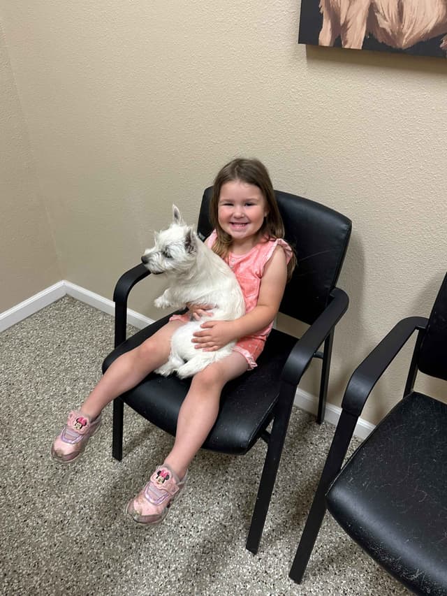 West Highland White Terrier Puppies New Lower Price to a great family! media 4