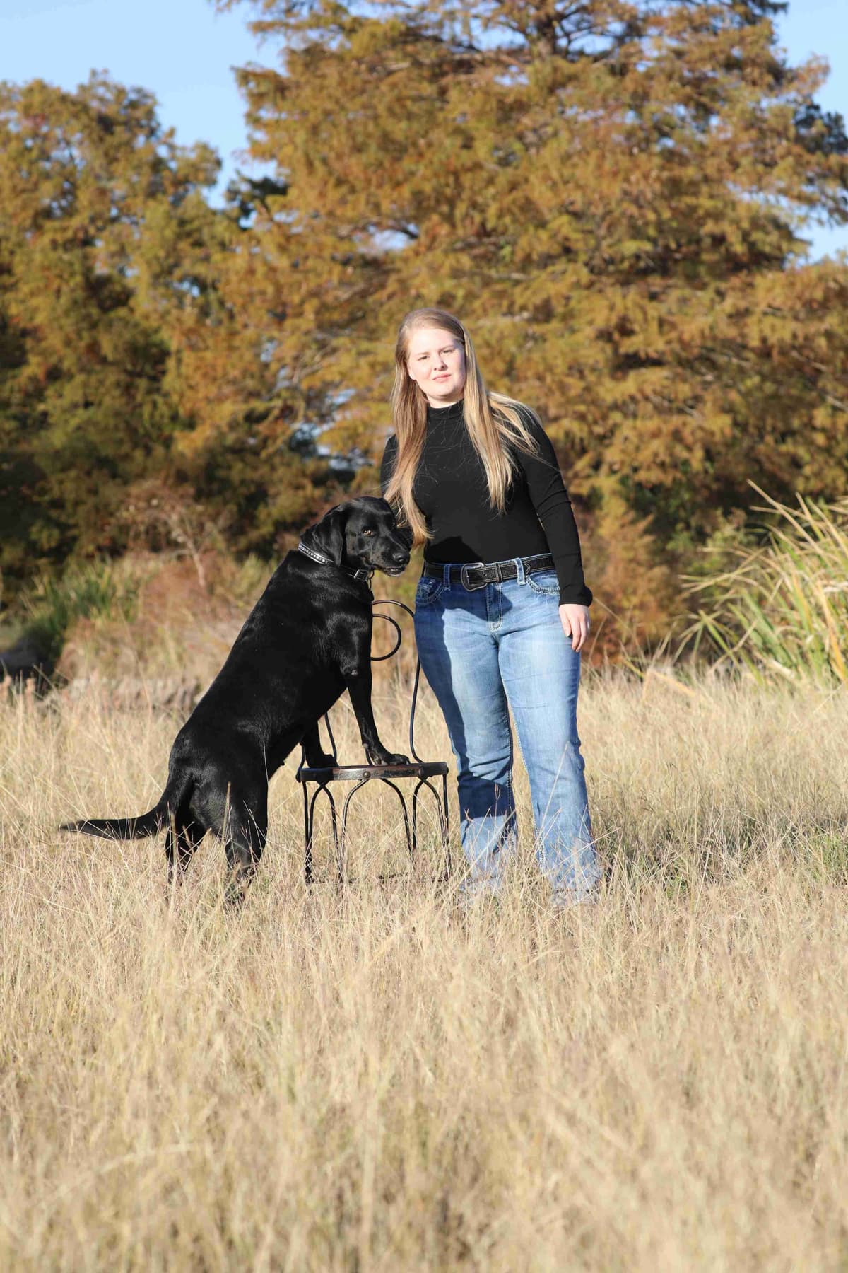 Labrador Retriever Puppies breeder image 2
