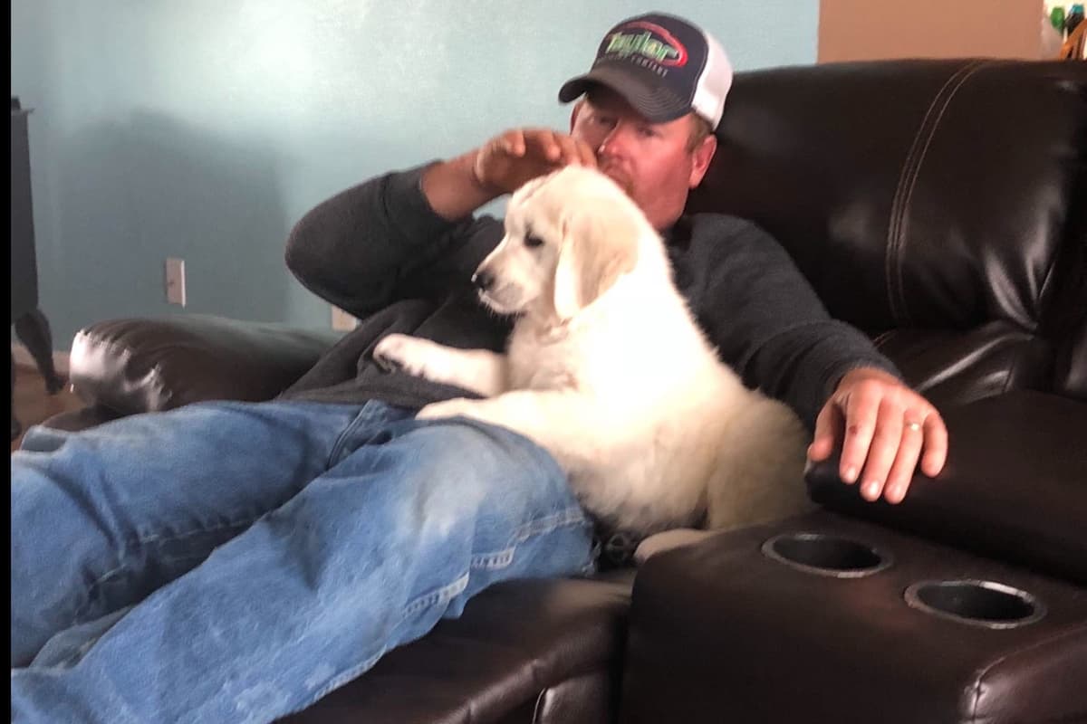 💙English CreamGolden Retriever Puppies $3500 breeder image 69