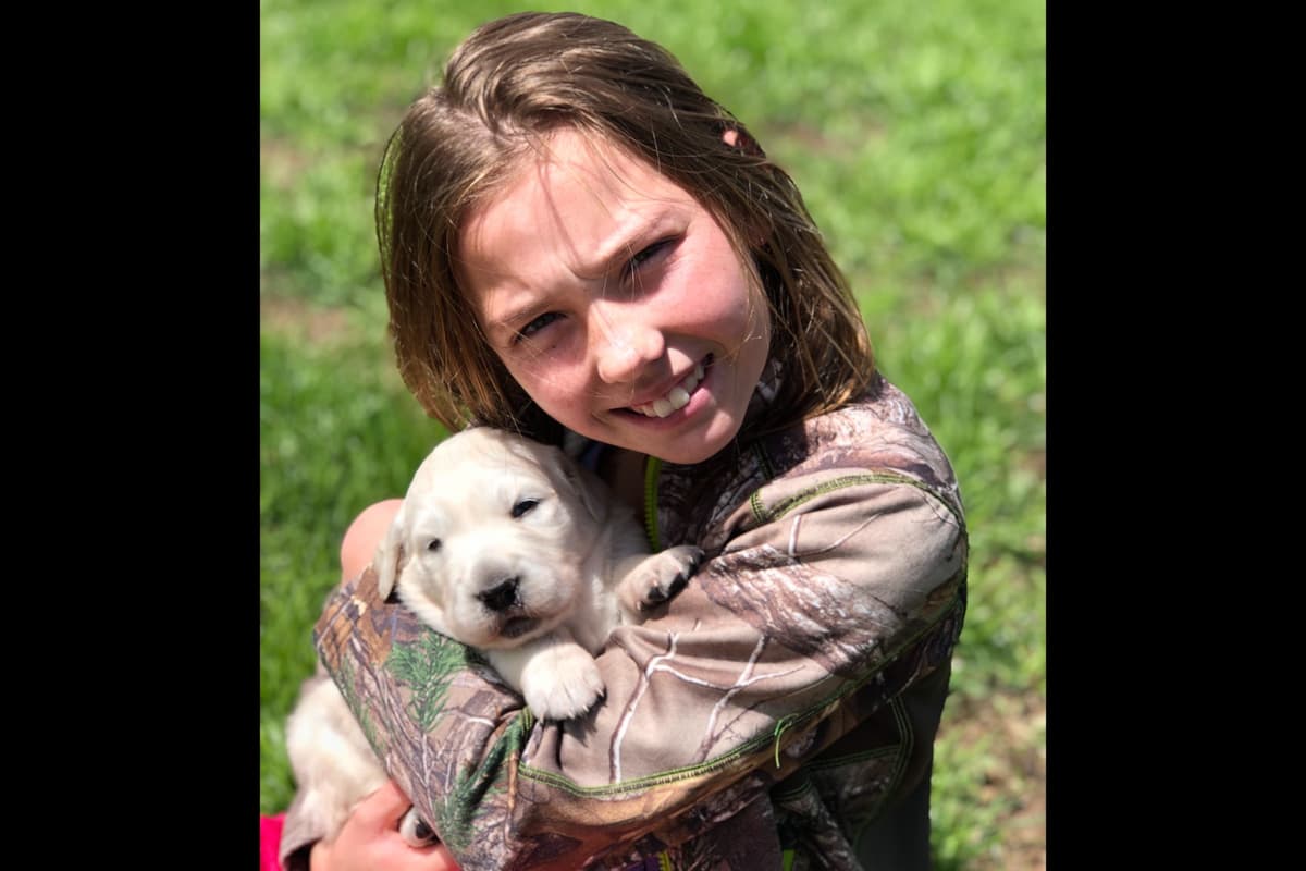 💙English CreamGolden Retriever Puppies $3500 breeder image 90