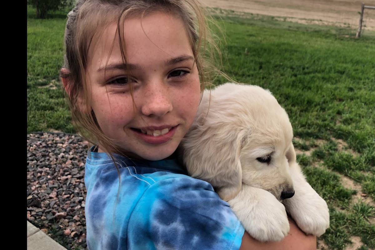 💙English CreamGolden Retriever Puppies $3500 breeder image 97