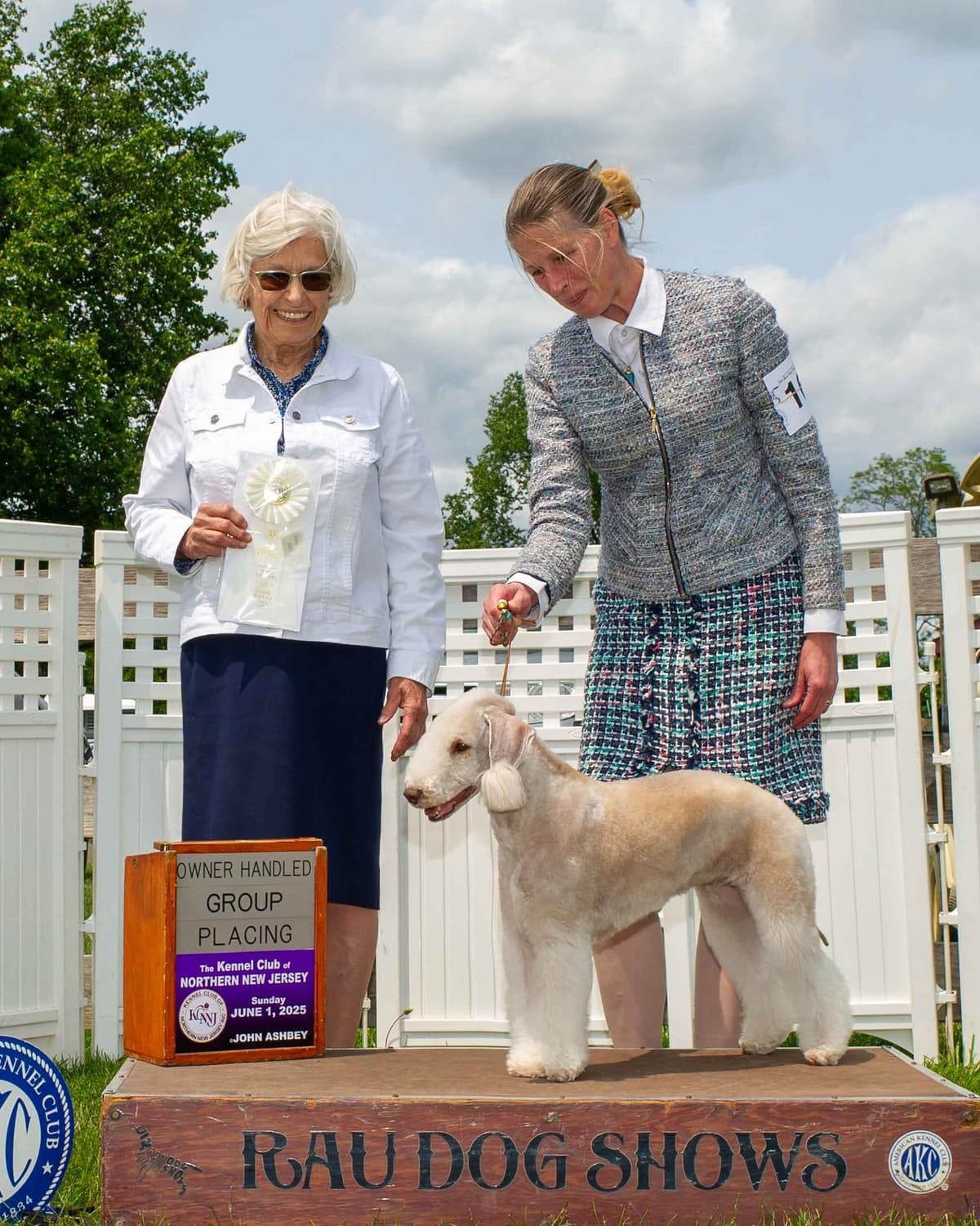 Bedlington Terrier Puppies breeder image 27