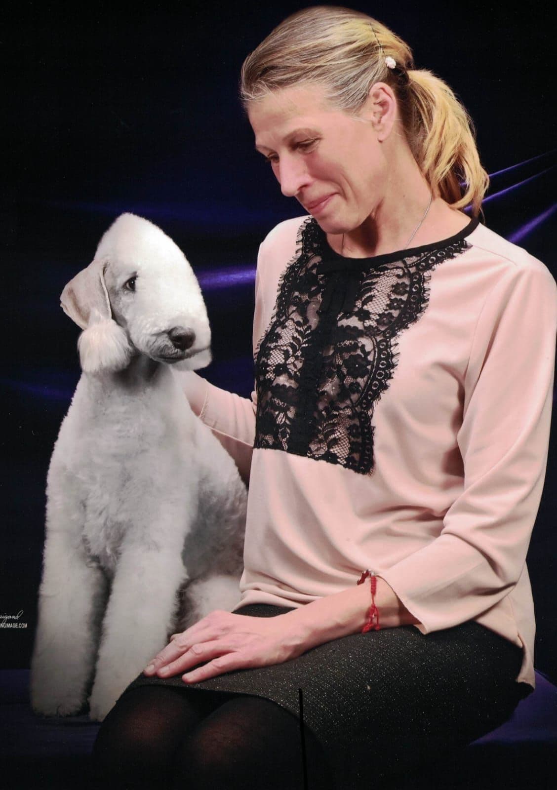Bedlington Terrier Puppies breeder image 29