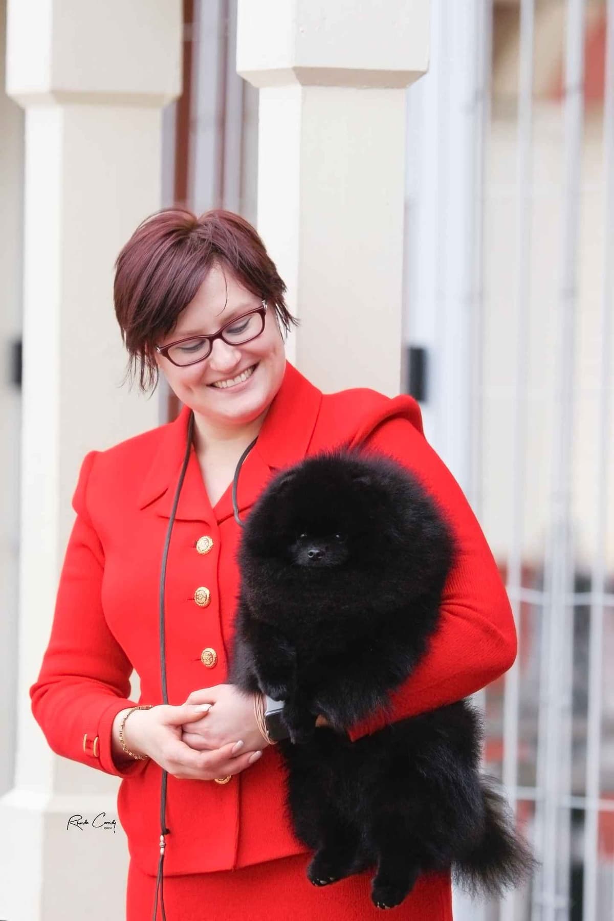 Pomeranian Puppies breeder image 2