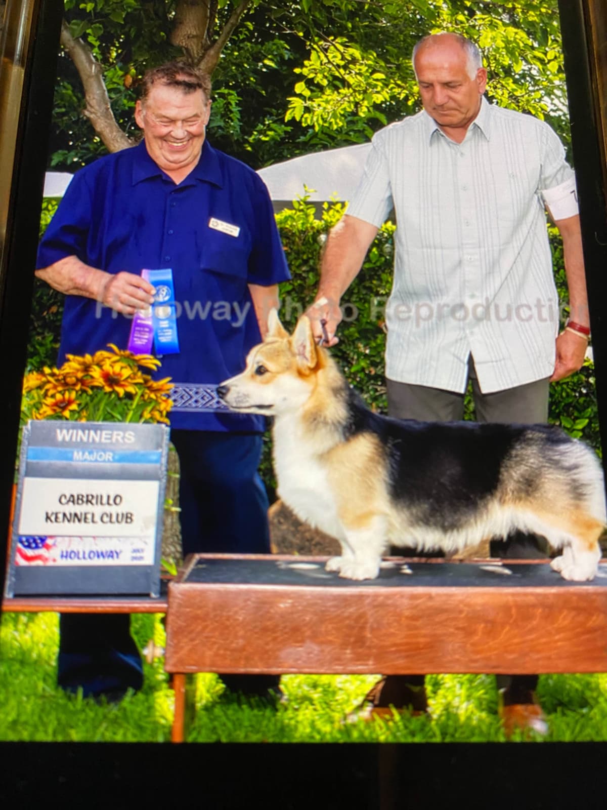 Pembroke Welsh Corgi Puppies breeder image 5