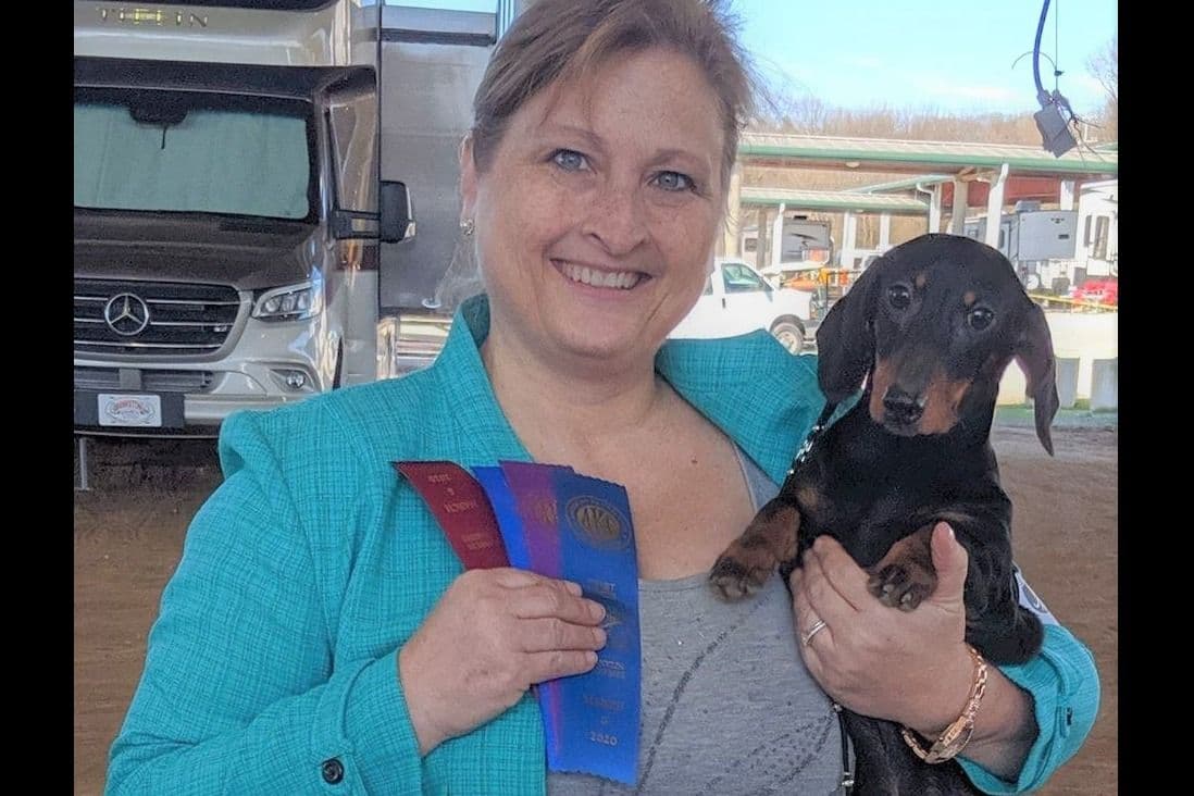 No HASSLE buying process. Includes Full AKC breeder image 8