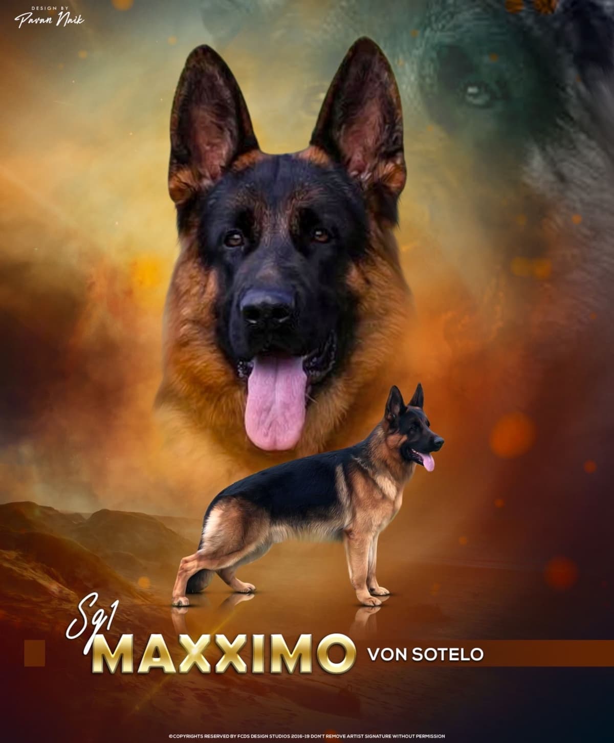 German Shepherd Dog Puppies breeder image 8