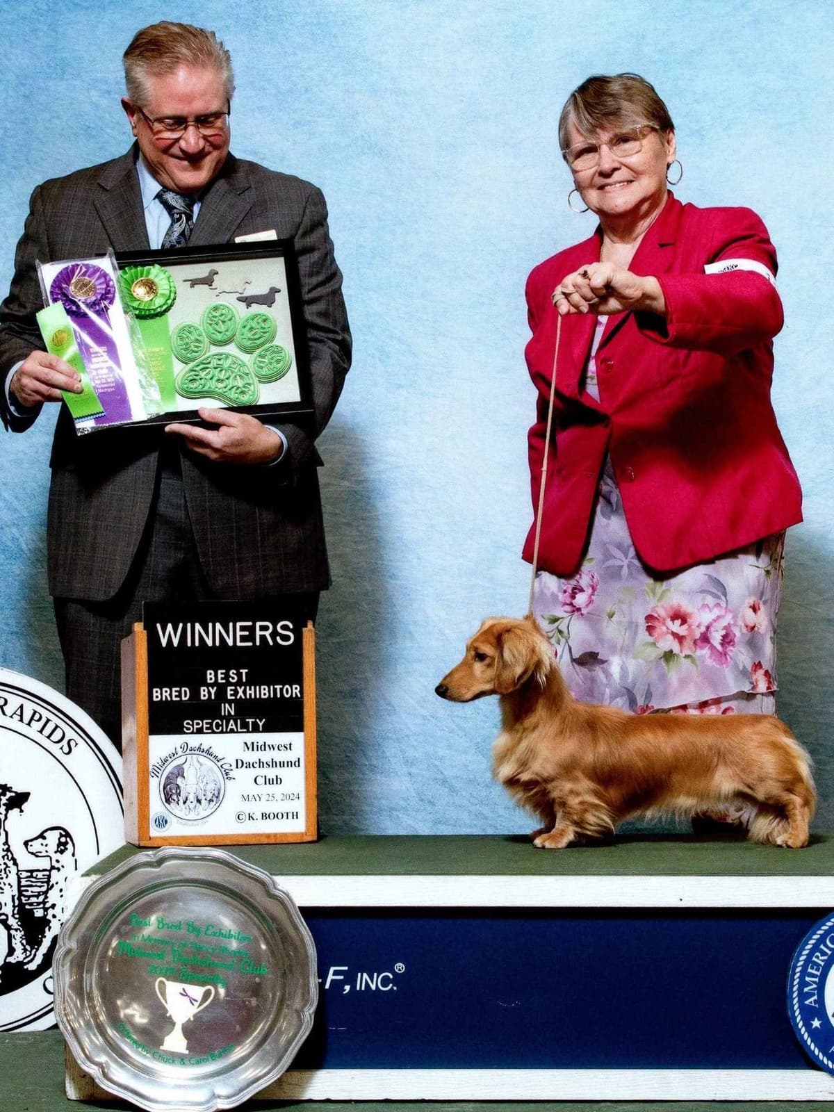 Dachshund Puppies breeder image 22