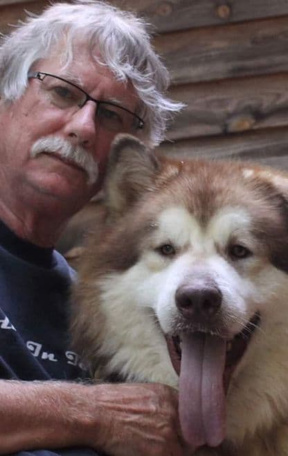 Alaskan Malamute Puppies breeder image 9