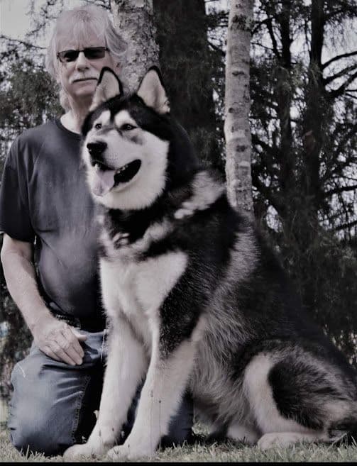 Alaskan Malamute Puppies breeder image 1