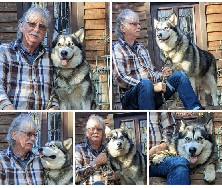 Alaskan Malamute Puppies breeder image 23