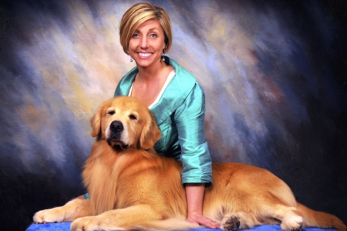 Versatile Golden Retriever Puppies breeder image 7