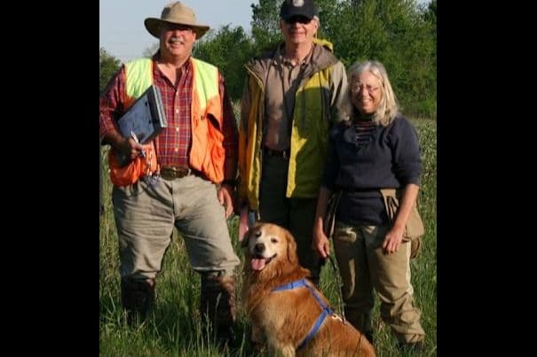 Versatile Golden Retriever Puppies breeder image 9