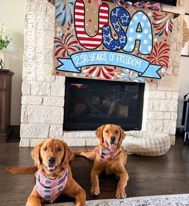 Golden Retriever Puppies media 4