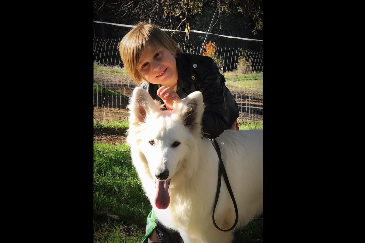 AKC WHITE German Shepherd Pups- Family & Farm raised- Health Tested breeder image 4