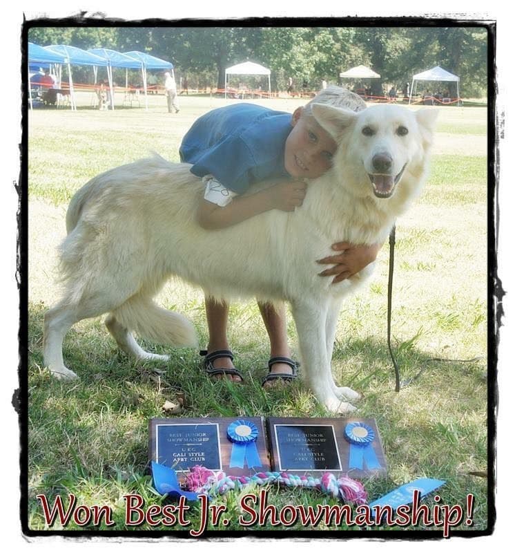 AKC WHITE German Shepherd Pups- Family & Farm raised- Health Tested breeder image 42