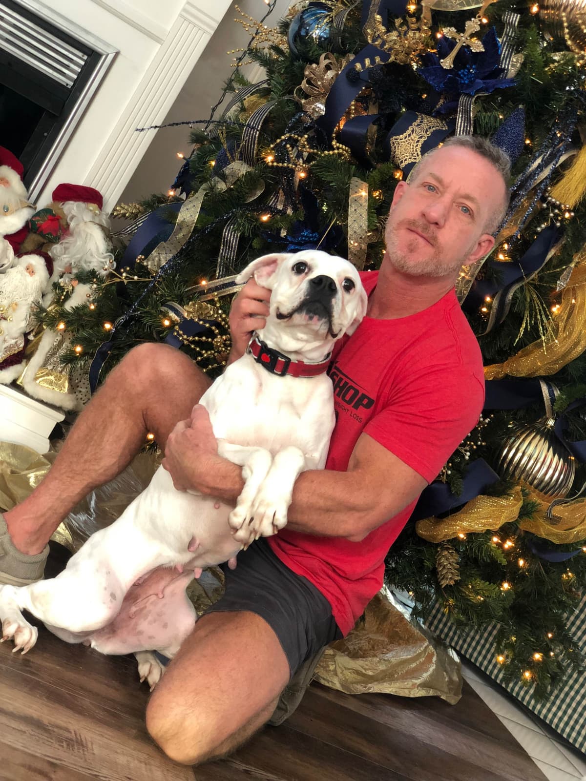 Euro/American Boxer Puppies breeder image 1