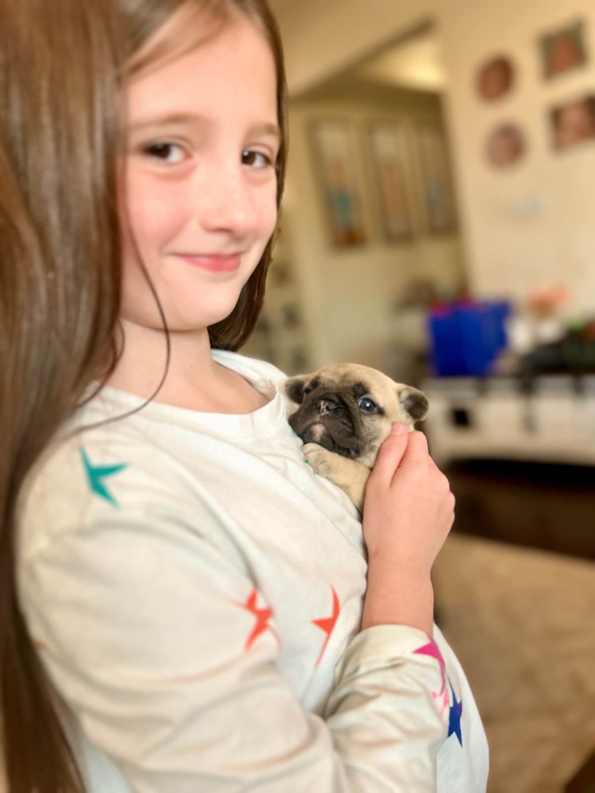 H & H Frenchies - French Bulldog Puppies breeder image 15