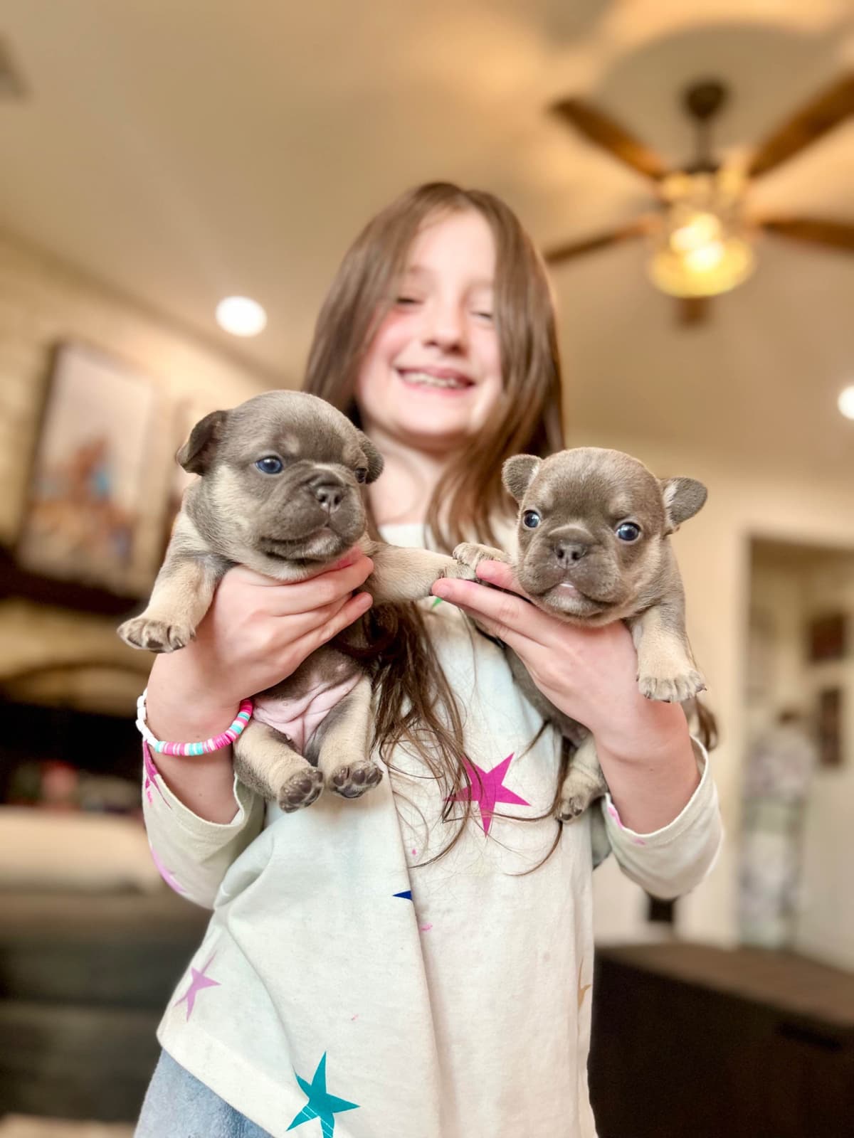H & H Frenchies - French Bulldog Puppies breeder image 22