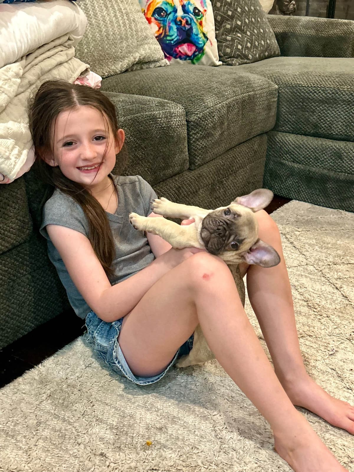 H & H Frenchies - French Bulldog Puppies breeder image 26