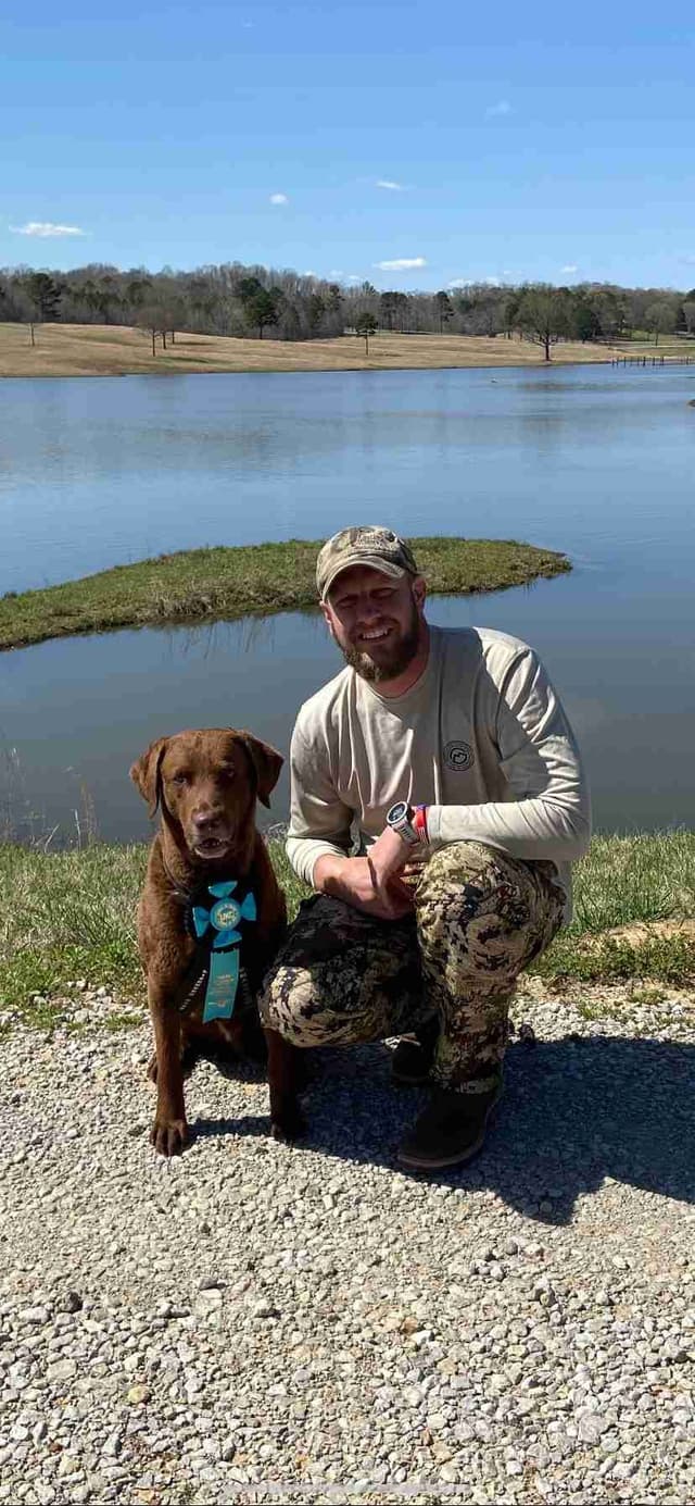 Chesapeake Bay Retriever Puppies media 3