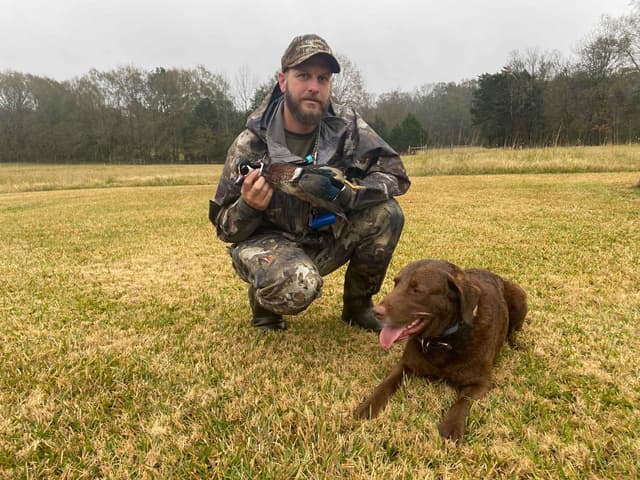 Chesapeake Bay Retriever Puppies media 7