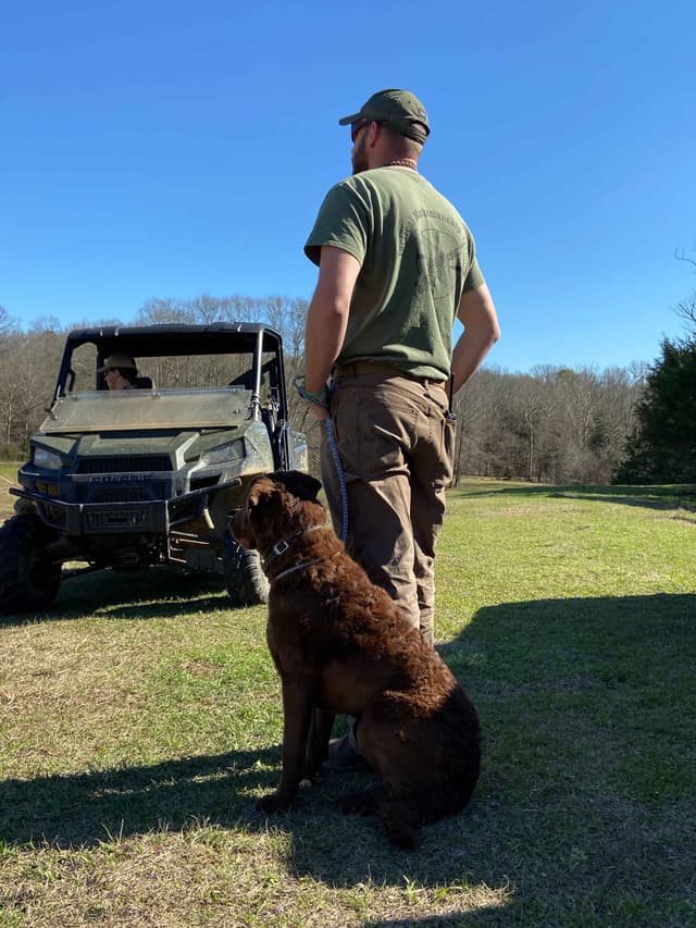 Chesapeake Bay Retriever Puppies media 8