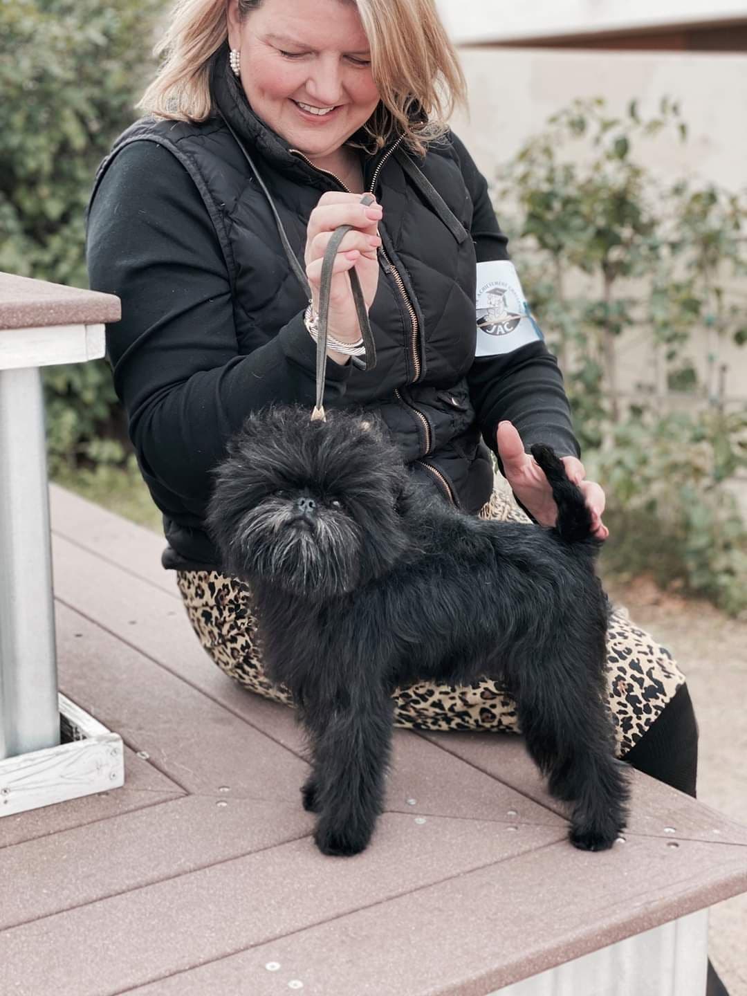 Affenpinscher Puppies breeder image 18