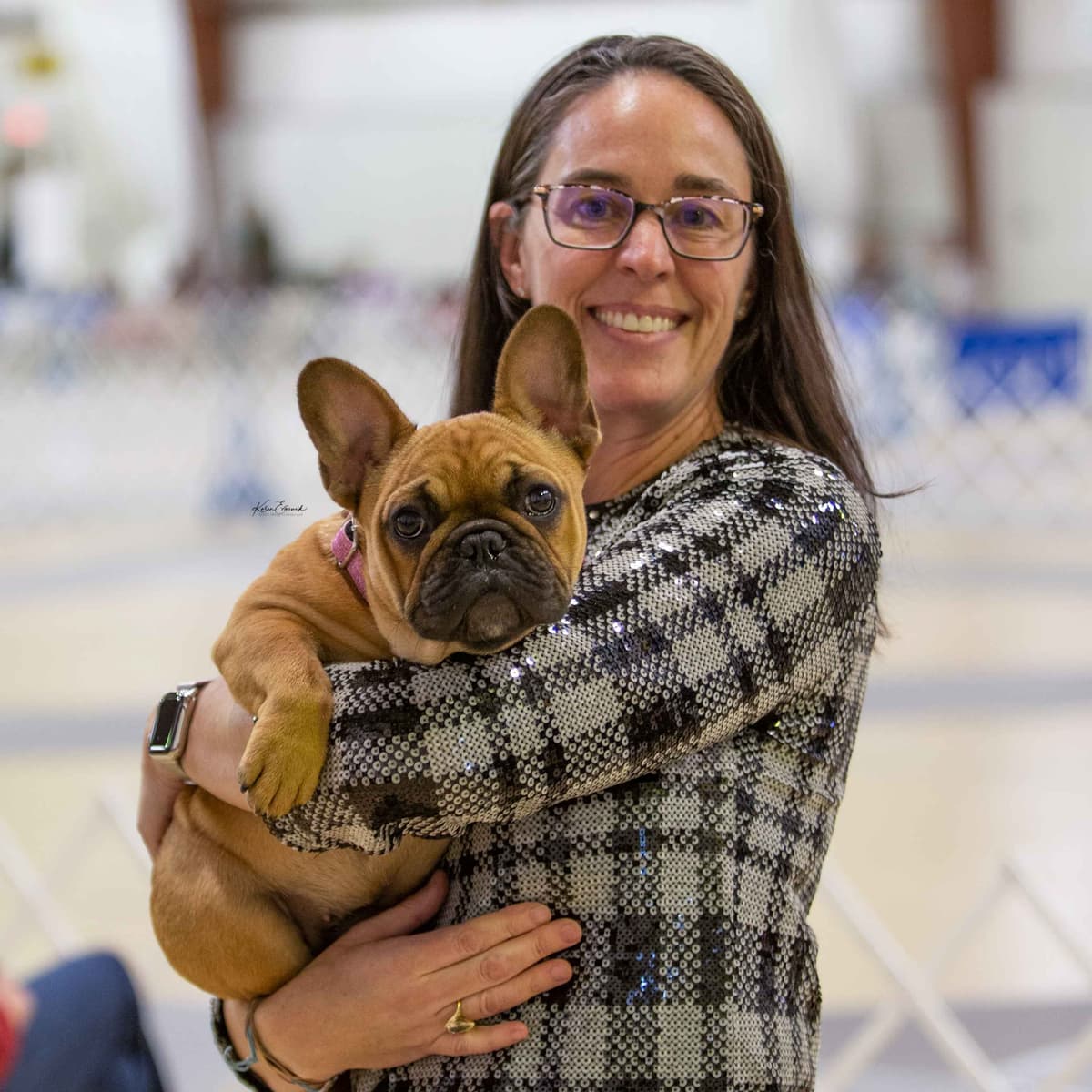 French Bulldog Puppies breeder image 11