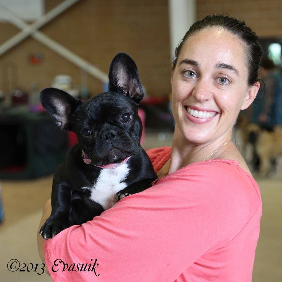 French Bulldog Puppies breeder image 18